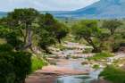 Trees growing along the banks of the Talek River Masai Mara National Reserve-Kenya Art Print